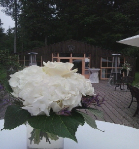 Hochzeit in Gelbensande